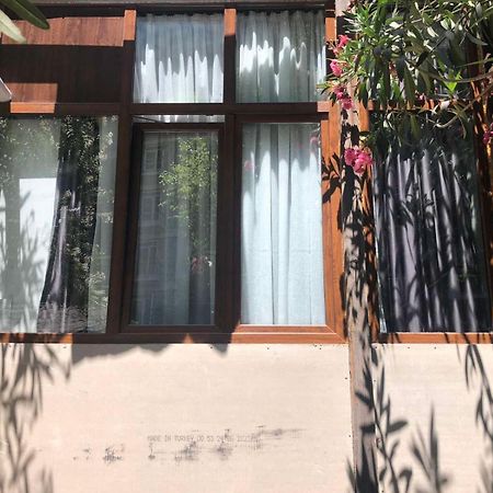 Pikrisgora Apartment Tbilisi Exterior photo